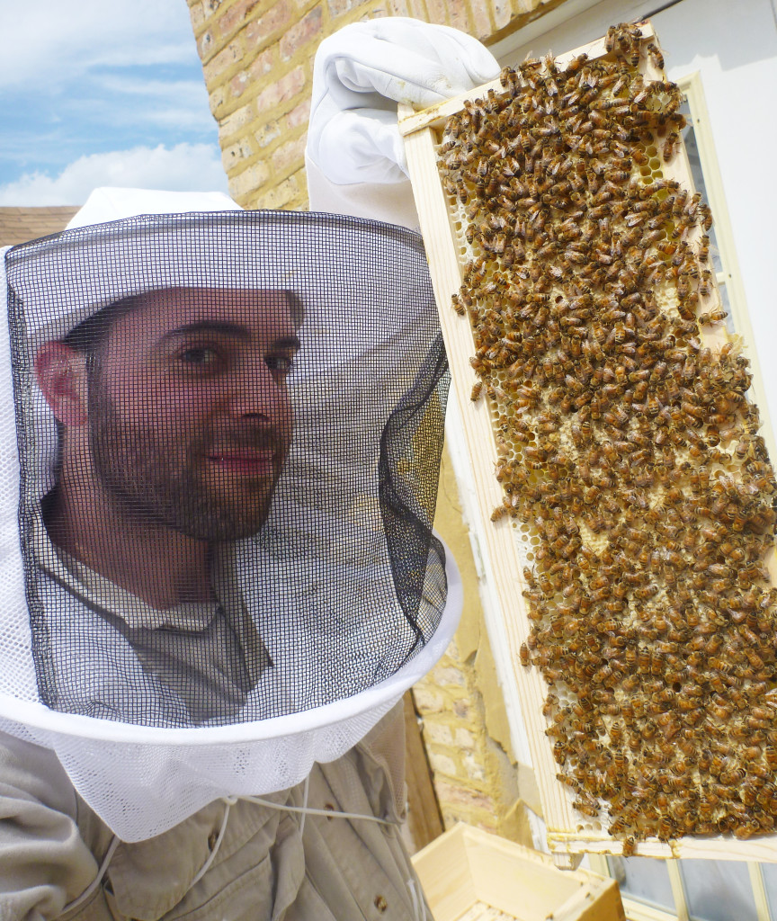 The Hive Life Chicago Rooftop Beekeeping Illumine ChicagoIllumine