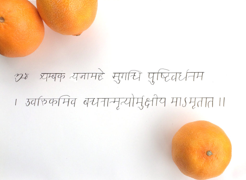 Sanskrit, from the Great Liberation Mantra from the Ṛig Veda, calligraphy by Jilly Ink. Nourishment 