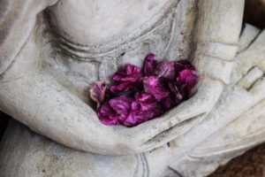 Meditating hands holding flowers